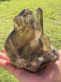Image 5 of Smoky Citrine Points Cluster #1876