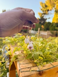 Image 5 of Dragon fruit Rabbit