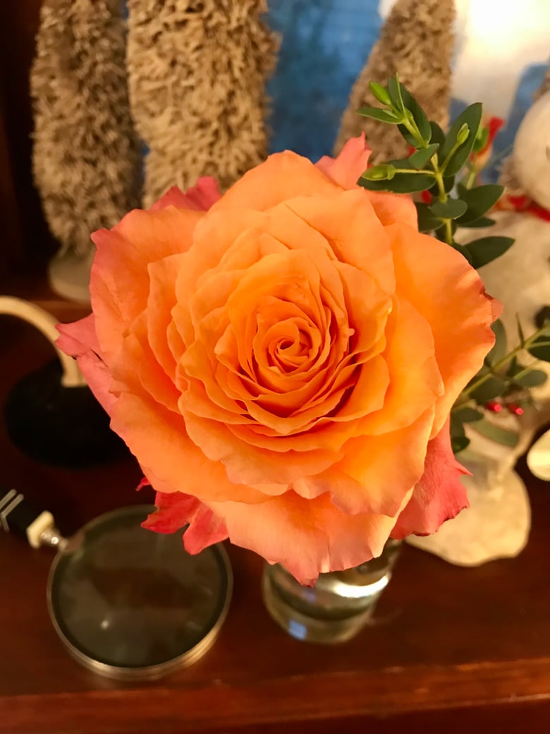 Image of Xmas Cheer Reserved For Ivy