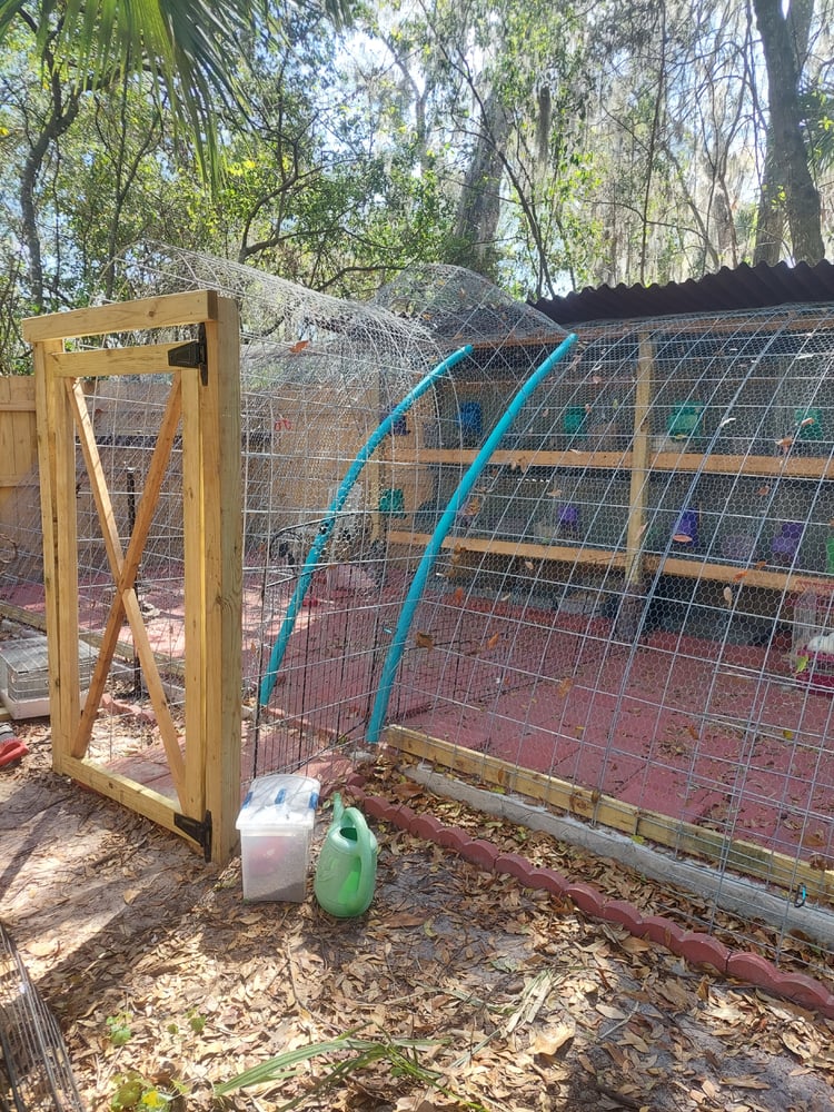 Image of Rabbit Enclosure 