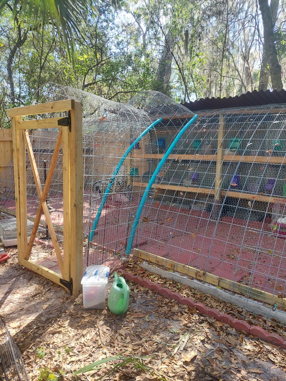 Image of Rabbit Enclosure 