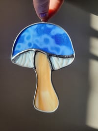 Image of Mushroom