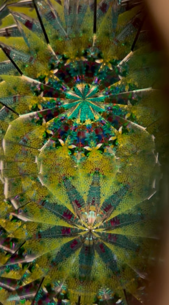 Image of Chameleon AuraScope