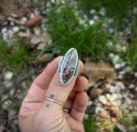 Image 3 of Picasso Jasper ring - size 9.5