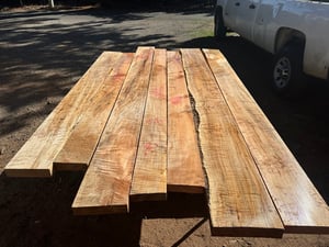 8/4 figured big leaf maple 