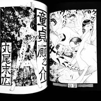 Image 11 of Barairo no Kaibutsu by Suehiro Maruo