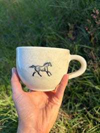 Image 5 of Wild horses