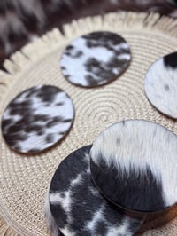 Image 7 of Cowhide Coasters 