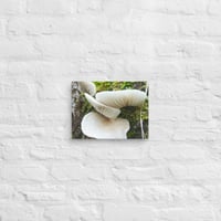 Image 3 of Mushroom Tree Canvas Print 