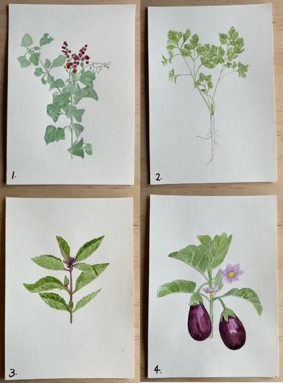 Image of Rezza Recipes - Original Watercolours