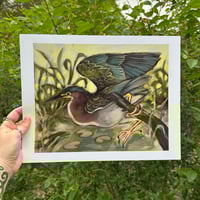Image 2 of green heron print