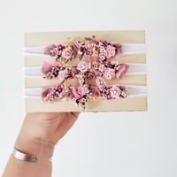 Image 1 of Mini halo rosy