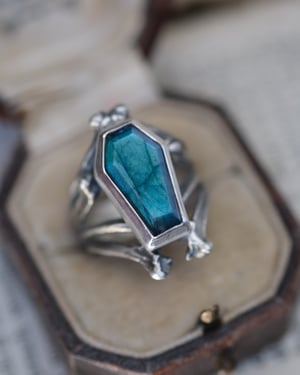 Image of COFFIN RING