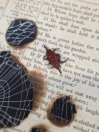 Image 2 of Spiney orbweiver taxidermy spider with real preserved spider web 1800s Bible