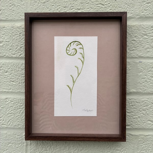 Image of £50 originals - Curled Fern watercolour
