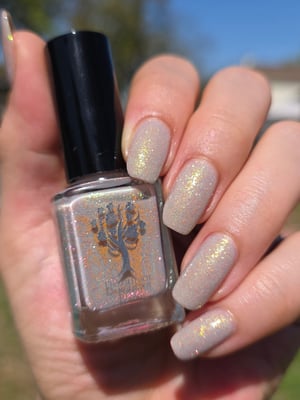 Image of Little box of Horrors