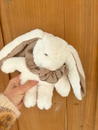 Image 1 of LAPIN MINIATURE BEIGE SABLE 