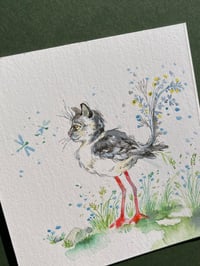 Image 4 of Ernesto - Kitty Cat Study