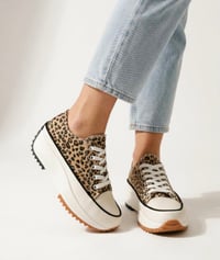 Leo - Chunky Trainer