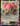 Audino EX - XY - Fates Collide - Moderately Played