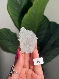 Image 8 of DOUBLE SIDED SUGAR COATED MINT GREEN APOPHYLITE CRUST -INDIA-