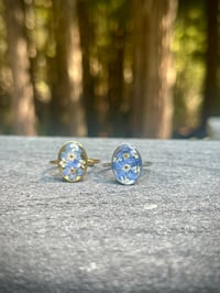 Image 2 of Everblue Bloom
