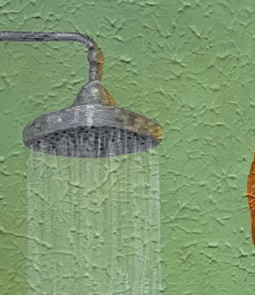 Image of Shower Girl