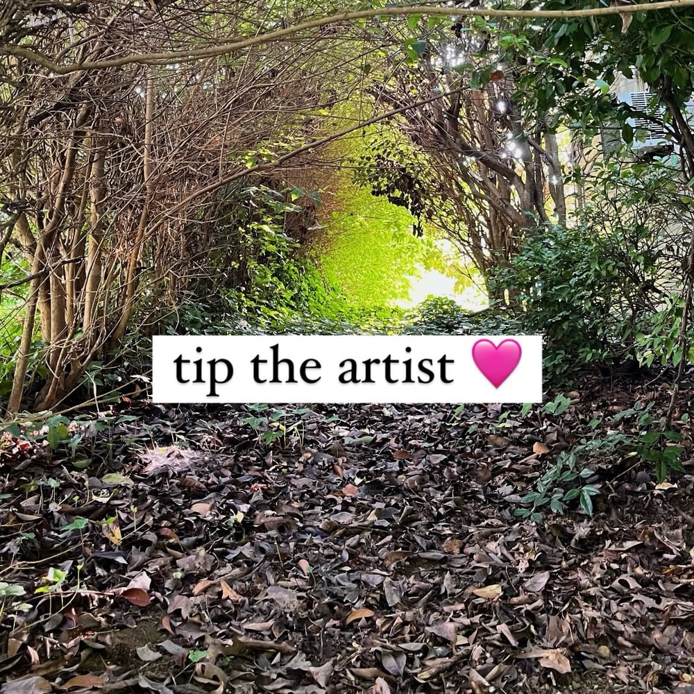 Image of tip the artist <3