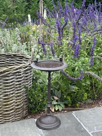 Image 5 of Cast Iron Bird Bath Petite