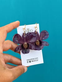 Dendrobium Violeta | Aretes