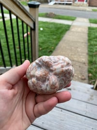 Image 5 of Jasper Brain