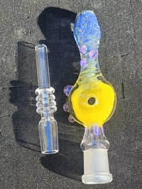 Image 2 of Purple and Yellow Nectar Collector