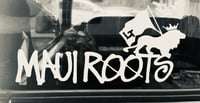 MAUIROOTS CAPSULE 8in