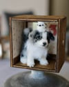 Pipe cleaner miniature border collie with its magnetic wooden display