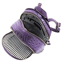 Image 6 of Backpack 🎒 & Wallet Set