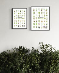 Image 4 of LOS ANGELES — MATCHA