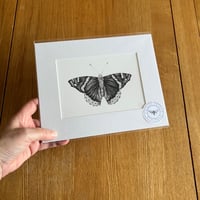 Image 3 of Various 10x8 B/W Butterfly Giclee Prints