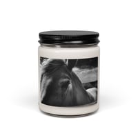 Image 1 of Scented soy candle Ponies from Murdo #2