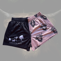 Image 1 of HIGHLAND COUNTRY- PRE ORDER 