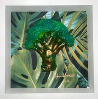 J Lo Broccoli 
