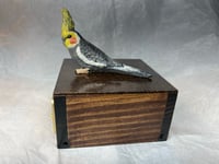 Image 7 of Custom Engraved Cockatiel Bird Mini Keepsake Urn Handpainted To Your Photo Pet Portrait