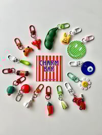 Image 1 of BAG CHARM / KEY CHARM 