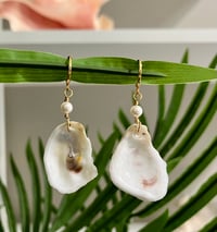 Image 2 of Oyster Shell Earrings E127