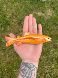 Image 1 of PRE ORDER Golden Rainbow Trout 
