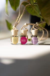 Image 1 of Luxury Car Diffuser