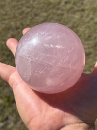 Image 2 of Star Rose Quartz Sphere #2642