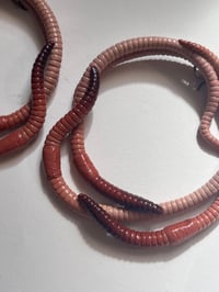 Image 2 of LARGE Worm Hoops
