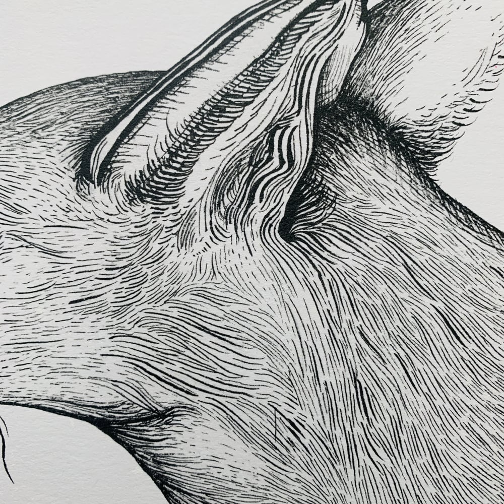 Image of Fox Ink Painting Print