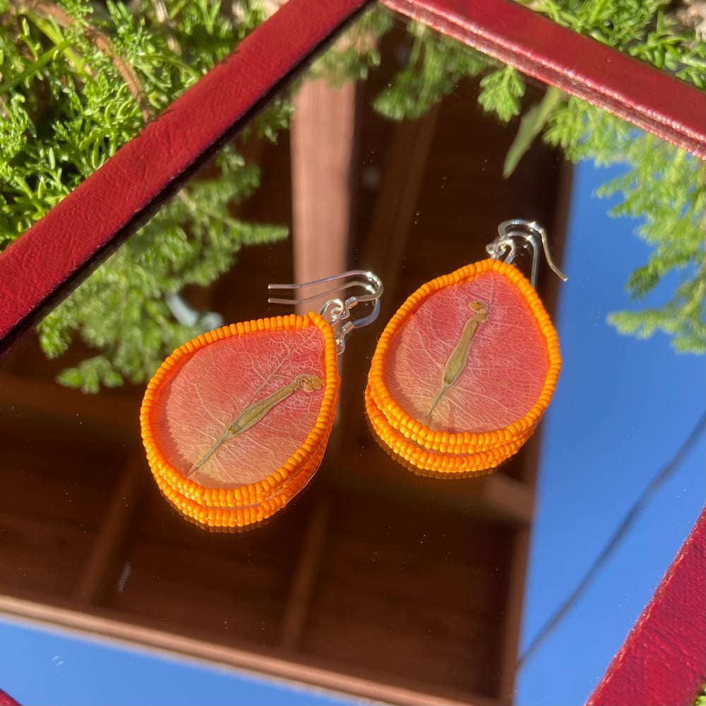 Image of Bougainvillea Petal Earrings - Pink
