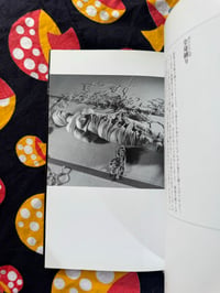 Image 4 of Ropemarks, Dirty Kudo/ Shido Jin, 1998.